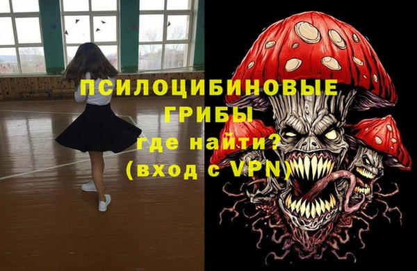 соль ск Балахна