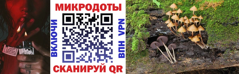 Галлюциногенные грибы Magic Shrooms  Венёв 